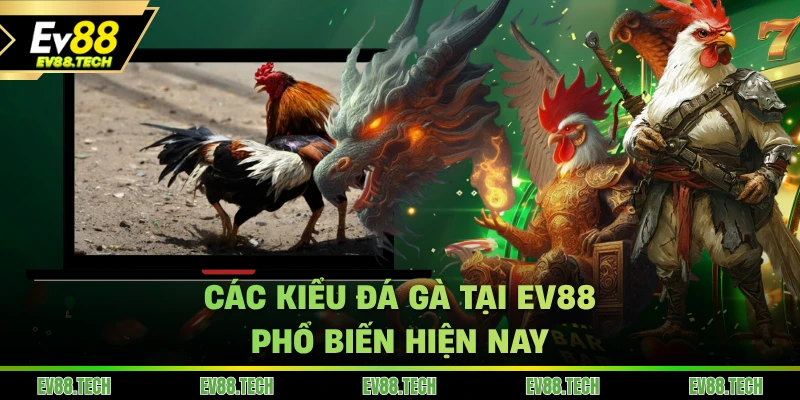 Các kiểu đá gà tại EV88 phổ biến hiện nay