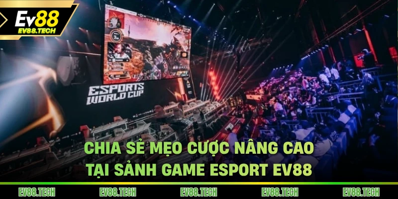 Chia sẻ mẹo cược nâng cao tại sảnh game Esport EV88