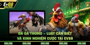 da-ga-thomo-luat-can-biet-va-kinh-nghiem-cuoc-tai-ev88
