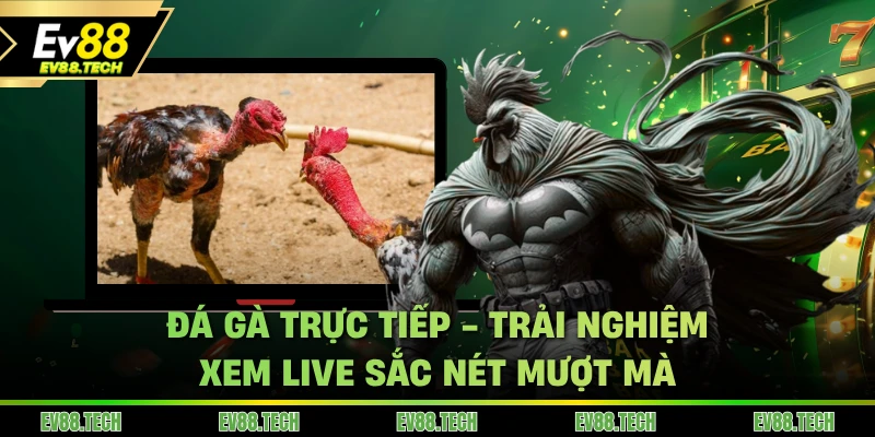 da-ga-truc-tiep-ev88-trai-nghiem-xem-live-sac-net-muot-ma