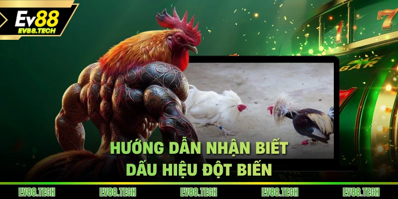 Hướng dẫn nhận biết dấu hiệu đột biến