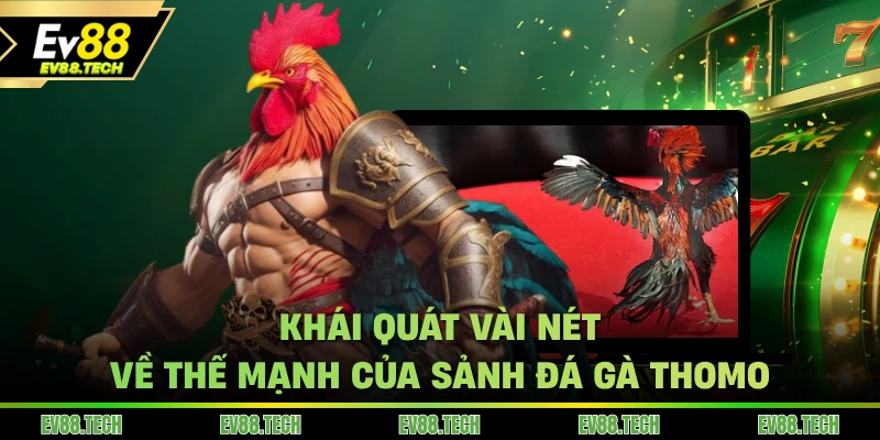 Khái quát vài nét về thế mạnh của sảnh đá gà Thomo
