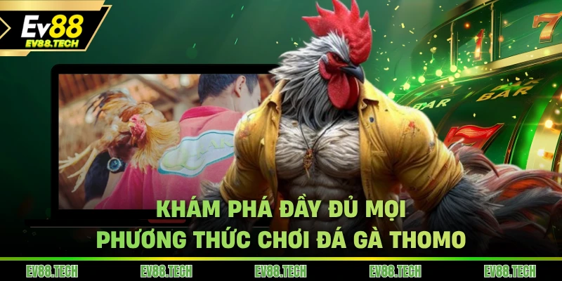 Khám phá đầy đủ mọi phương thức chơi đá gà Thomo