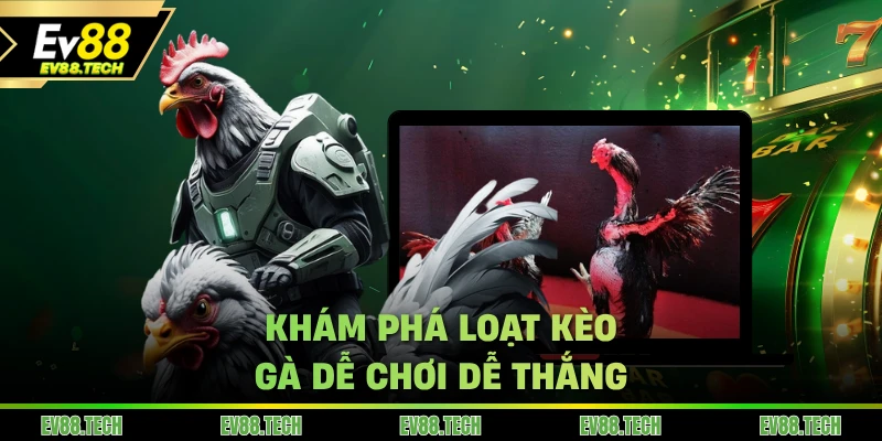Khám phá loạt kèo đá gà trực tiếp dễ chơi dễ thắng