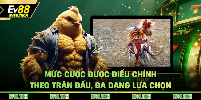Mức cược được điều chỉnh theo trận đấu đá gà EV88, đa dạng lựa chọn