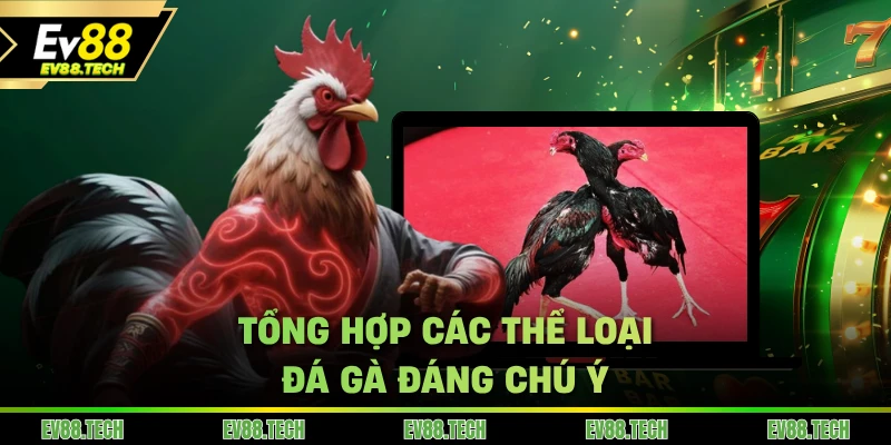 Tổng hợp các thể loại đá gà đáng chú ý tại sảnh cược của nhà cái EV88