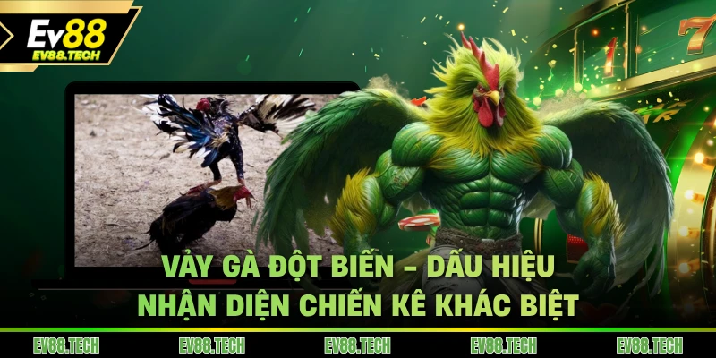 vay-ga-dot-bien-dau-hieu-nhan-dien-chien-ke-khac-biet